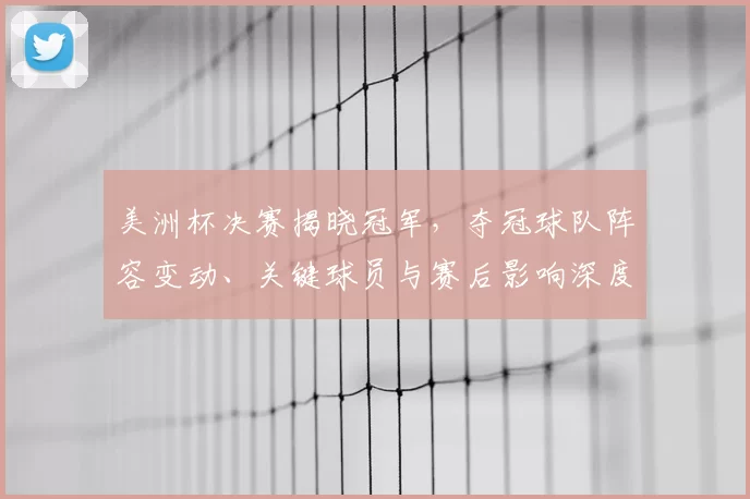 美洲杯决赛揭晓冠军，夺冠球队阵容变动、关键球员与赛后影响深度解读