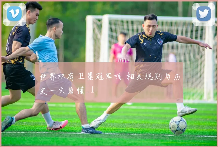 世界杯有卫冕冠军吗 相关规则与历史一文看懂_1