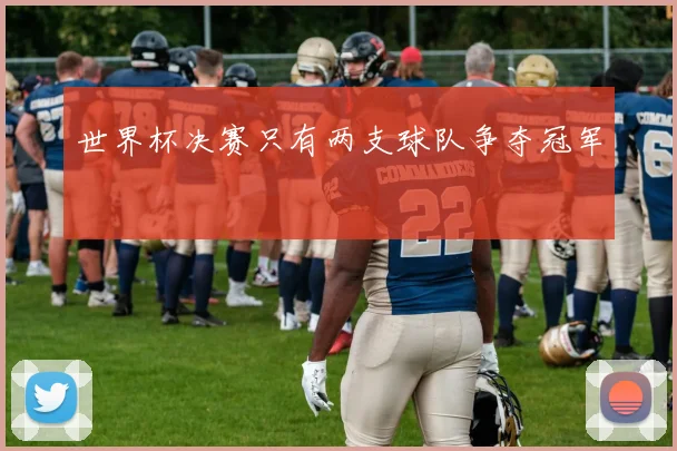 世界杯决赛只有两支球队争夺冠军
