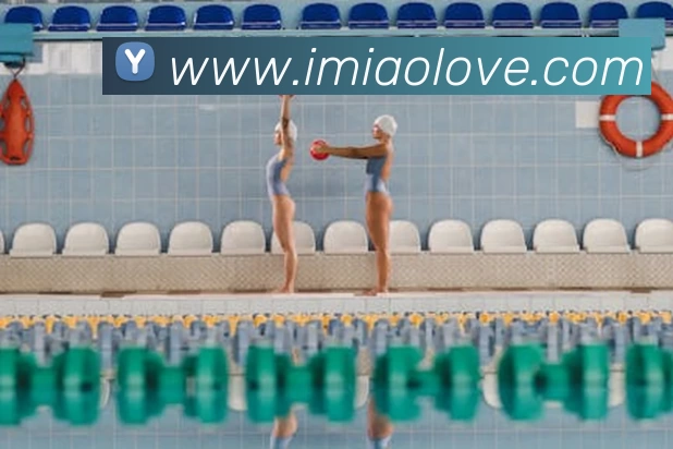 开云手机web版登录入口 - 开云(中国)平台生态图